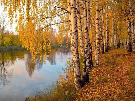 9 октября в Смоленской области будет солнечно