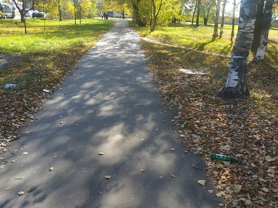 То ли погода балует перед лютой зимой, то ли в природе что-то пошло не так