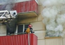 С пожаром в квартире под Всеволожском несколько часов боролись 12 спасателей