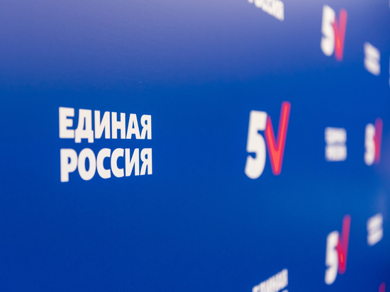 «Единая Россия» отчиталась о тратах на выборы депутатов ГД в Забайкалье