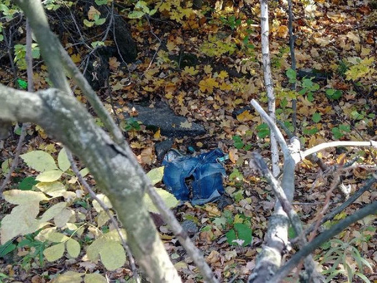 На месте поиска Логуновой нашли женские джинсы и перчатки