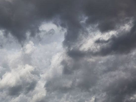 Облачная погода с сильным ветром ждет жителей Ленобласти в воскресенье