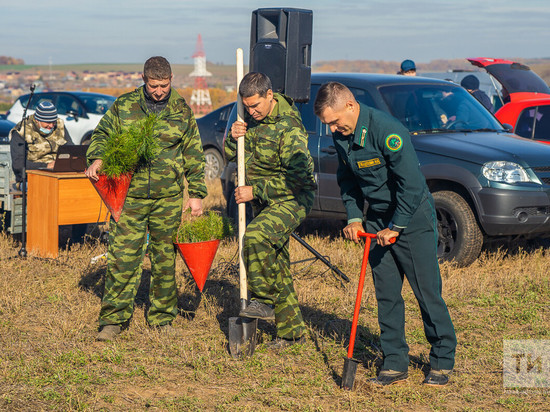 В Татарстане на акции «Сохраним лес» посадили свыше миллиона деревьев