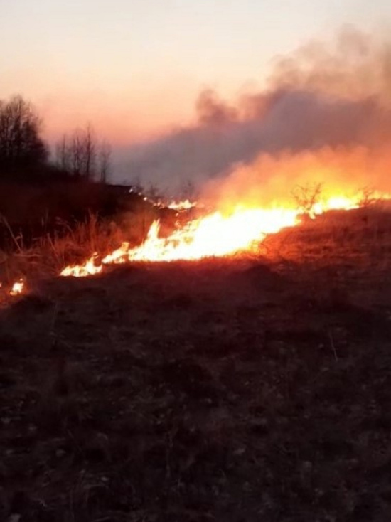 В Курском районе пожарные предотвратили лесной пожар