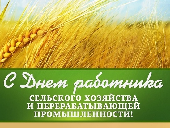 Глава Серпухова поздравила аграриев с праздником
