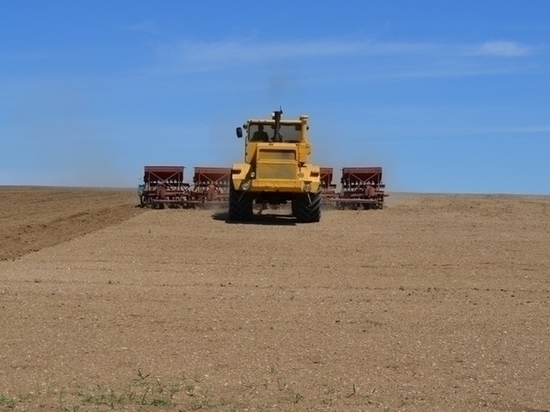 Забайкалье получит 3,6 млн рублей на поддержку производителей зерна