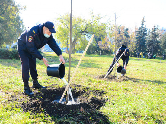 В Пензе сотрудники полиции высадили деревья в Октябрьском сквере