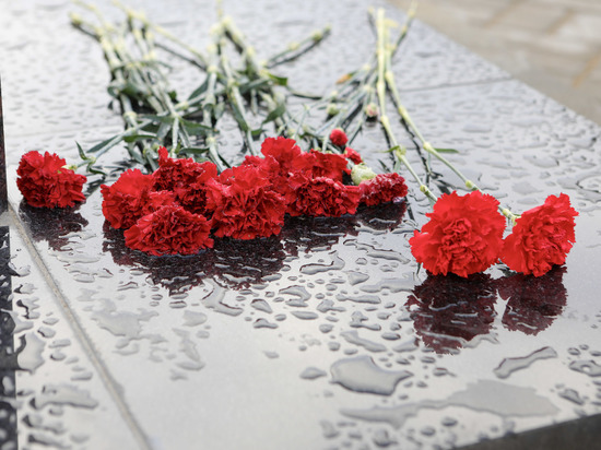 В Долине Славы почтили память и предали земле останки 79 воинов-защитников Советского Заполярья