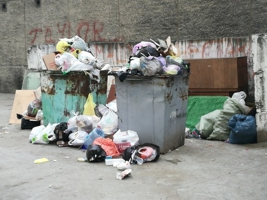 Сапожников поручил за неделю решить проблему с мусором в районе Геодезической