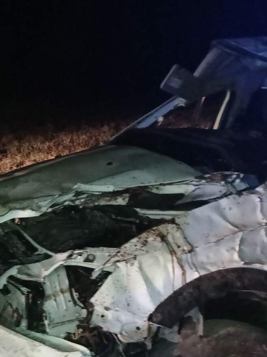 В перевернувшемся авто в Татарстане пострадали пять человек