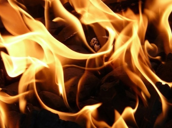 Пожары в ЛНР унесли жизни двоих жителей