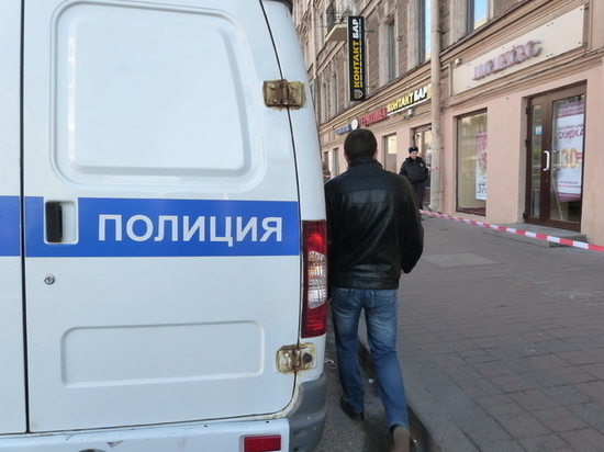 Из воров в похитители: кто требовал выкуп в 10 млн рублей за беременную в Петербурге