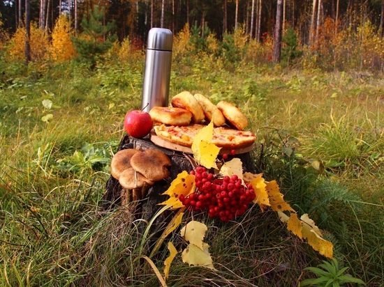 Необычайно красивые пейзажи находят грибники в лесах Новосибирска в октябре