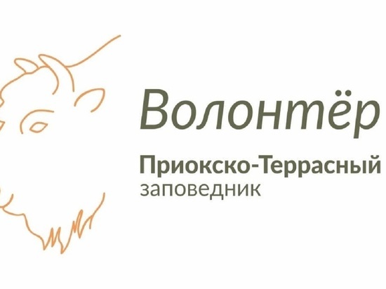 Жителей и гостей Серпухова приглашают в заповедник на волонтёрский день