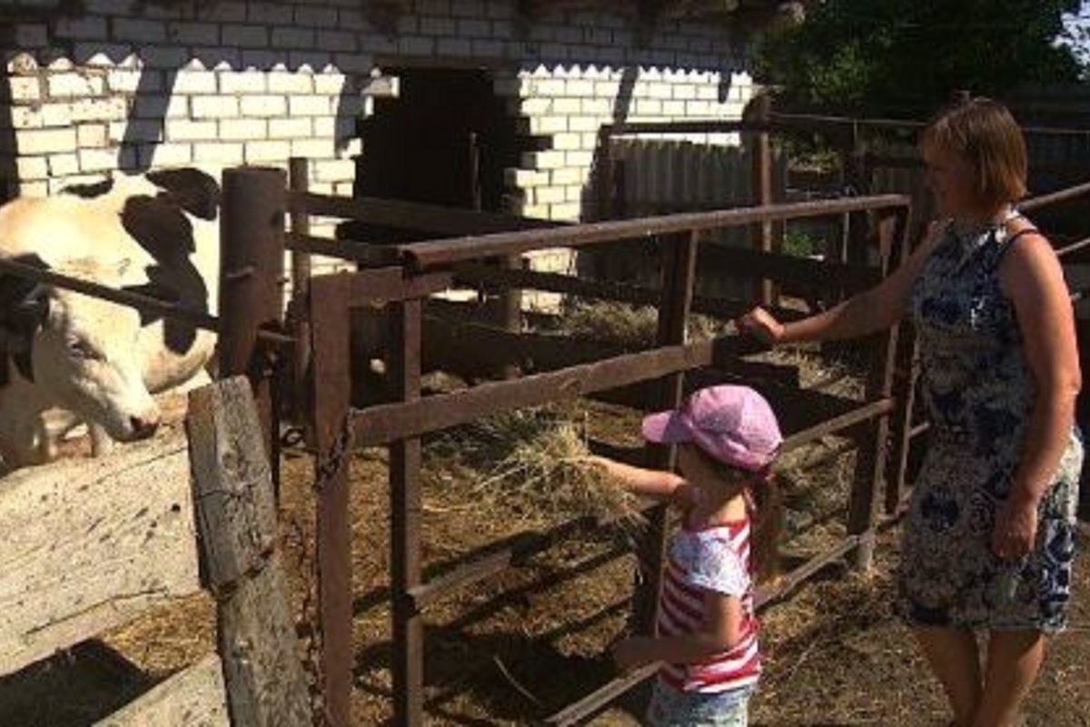 В Костромской области более 500 семей получили финансовую поддержку в рамках соцконтрактов