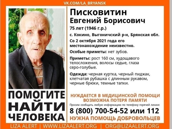На Брянщине нашли мертвым пропавшего пенсионера