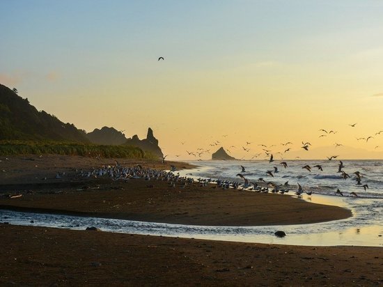 Премьер-министр Японии Кисида заявил о суверенитете Токио над Южными Курилами