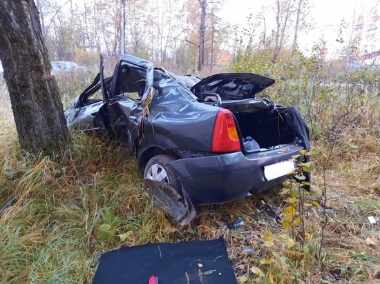 Молодой мужчина сломал позвоночник в аварии в Тверской области