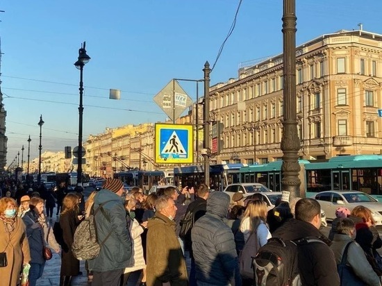 В центре Петербурга встали троллейбусы и трамваи