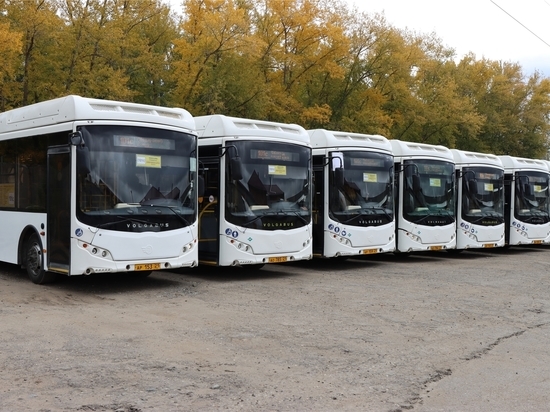 Власти пообещали 80 автобусов на маршруты между Чебоксарами и Новочебоксарском