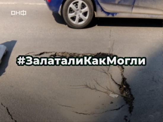 В Мурманской области объявлен фотоконкурс с хештегом #ЗалаталиКакМогли