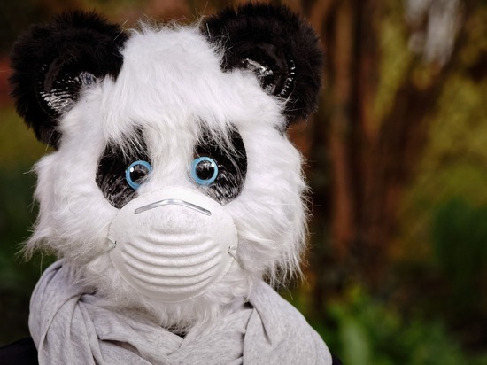 Кафе Карелии будут работать по QR-кодам и закрываться в час ночи