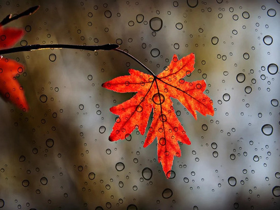 13 октября небо над Смоленской областью затянется облаками