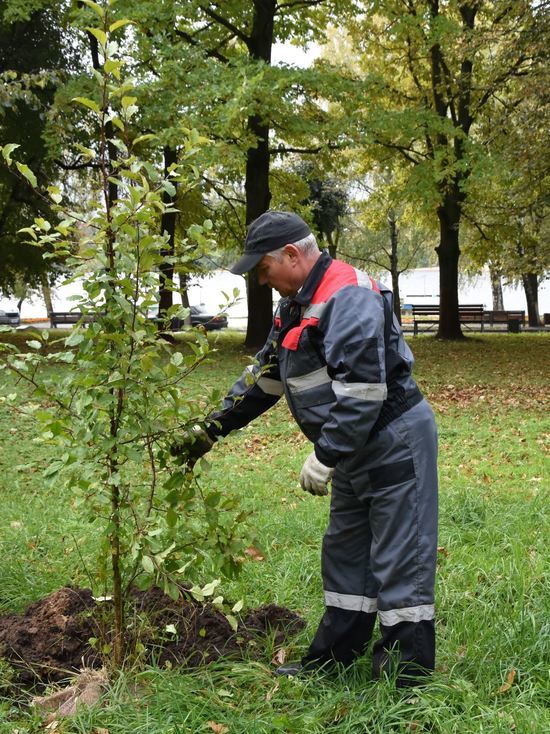 В Костроме завершился очередной сезон озеленения города