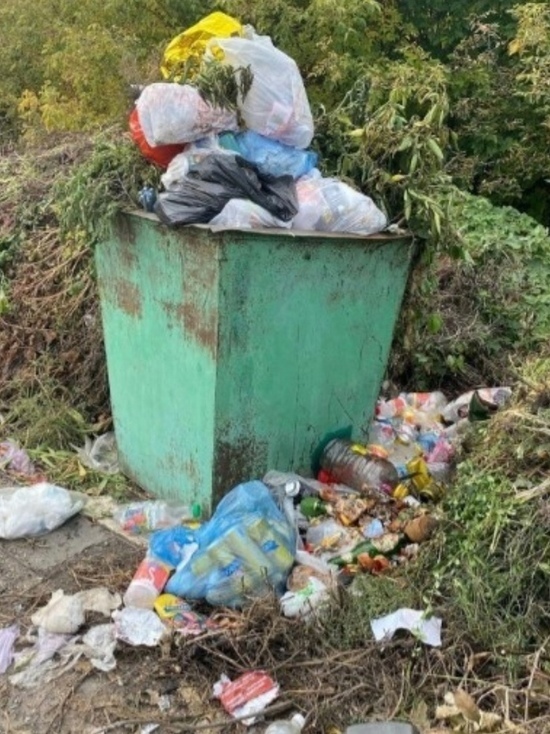 После жалоб жителей Жердевки в соцсетях с контейнерной площадки убрали мусор