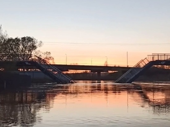 В Ярославской области можно плавать через пешеходный мост