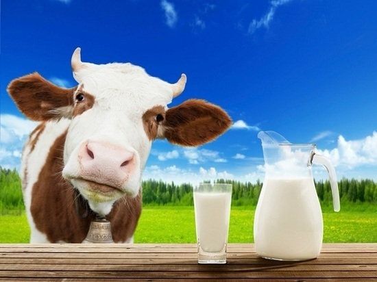 Заменить коровье молоко растительным готовы только десять процентов покупателей