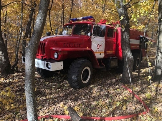 В Оренбуржье за прошедшие сутки зафиксировано 17 природных пожаров