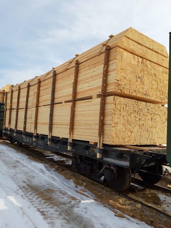 Тюменца оштрафовали на 700 тысяч рублей за контрабанду лесоматериалов