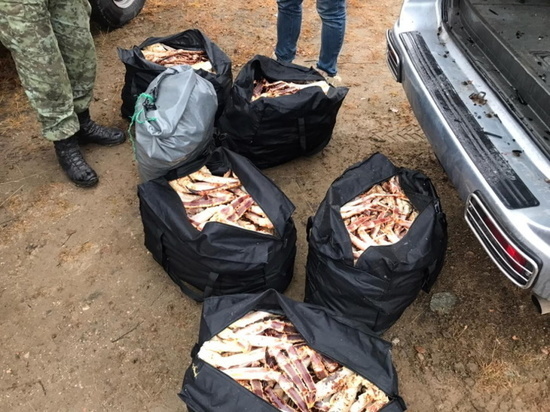 В Мурманской области силами ФСБ задержаны браконьеры