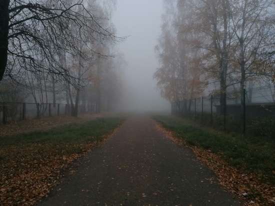 Густой туман окутал Ленобласть