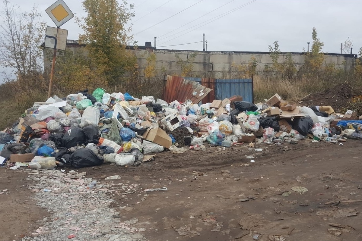 Прием чермета рязань. Смерть на Рязанской свалке.