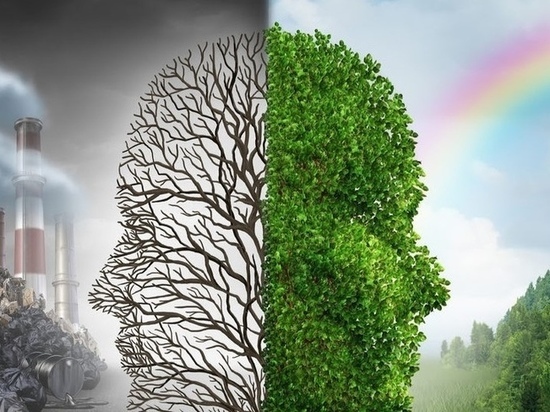 Молодёжь Карелии приглашают к участию в конкурсе экологических видеопроектов