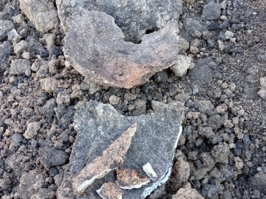 В Тамбовской области водопроводчики обнаружили захоронение эпохи бронзового века
