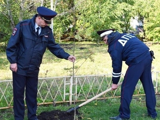 В Пензе высадили более тысячи новых деревьев
