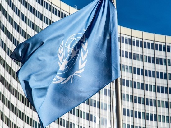 США вернулись в Совет ООН по правам человека