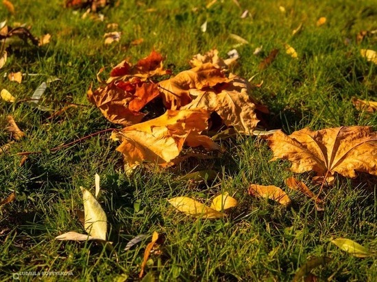 14 октября: главные новости дня по версии "МК в Карелии"