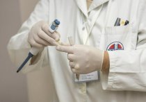 Показатели по коронавирусной инфекции в России почти достигли пиковых значений