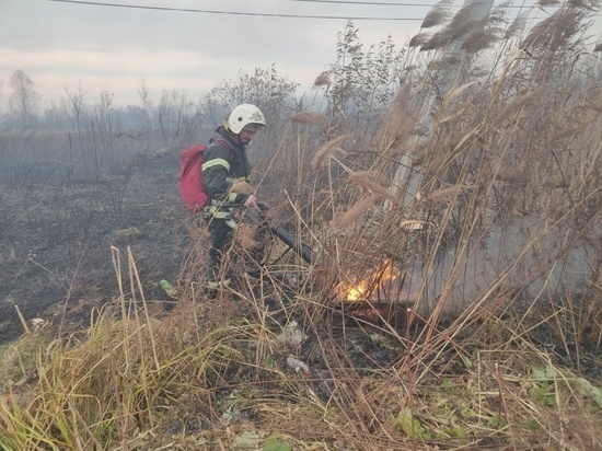 В Хабаровском крае за сутки ликвидировали 23 пала сухой травы