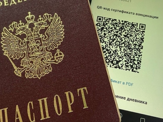 Треть жителей Красноярского края поддерживают введение QR-кодов в регионе
