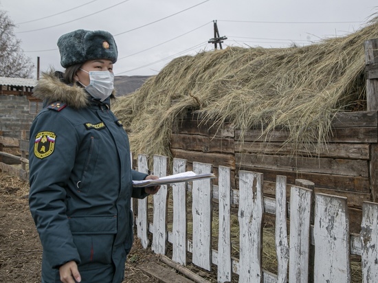В Туве в помощь животноводам началась операция «Сено-2021»