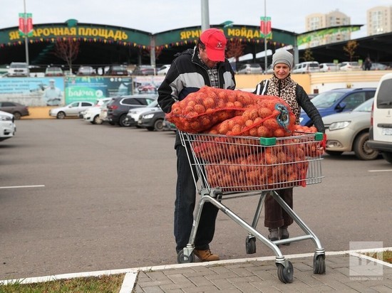 Поставку овощей на сельхозярмарки Татарстана повысили вдвое