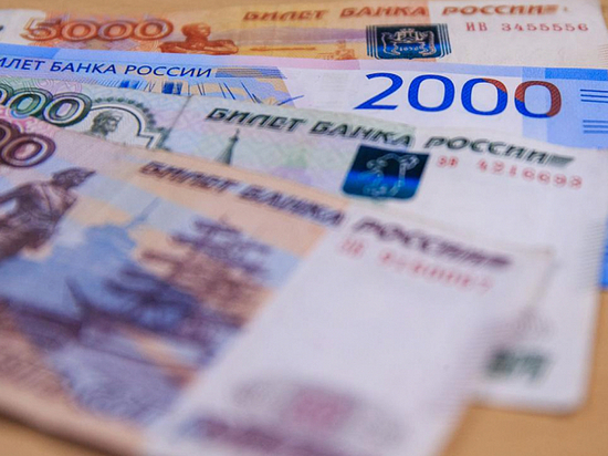 Социальные предприниматели в Приморье смогут получить по полмиллиона рублей