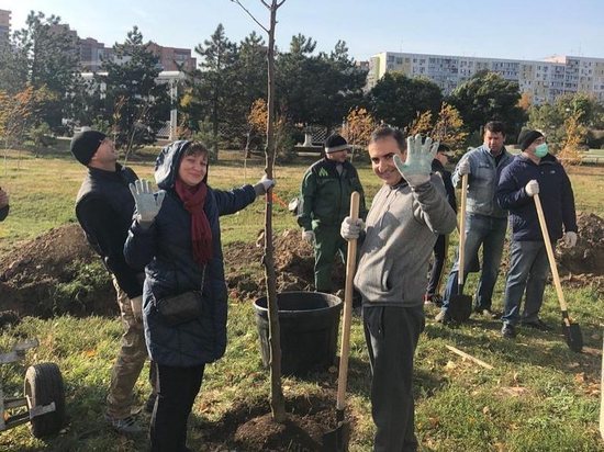 В Ростове высадили более трех тысяч деревьев