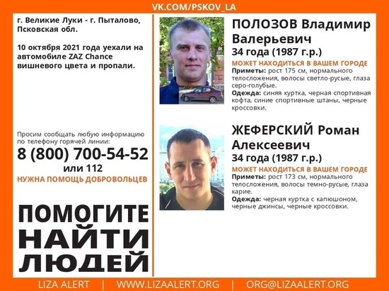 Двух пропавших жителей Псковской области ищут родные