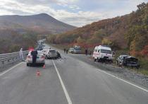Трагическое происшествие в котором погиб 68-летний пенсионер произошло на 153 километре трассы Артем – Находка – Врангель